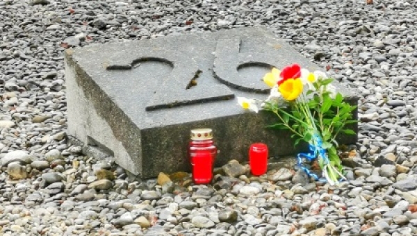 Interview mit Markus Zurl