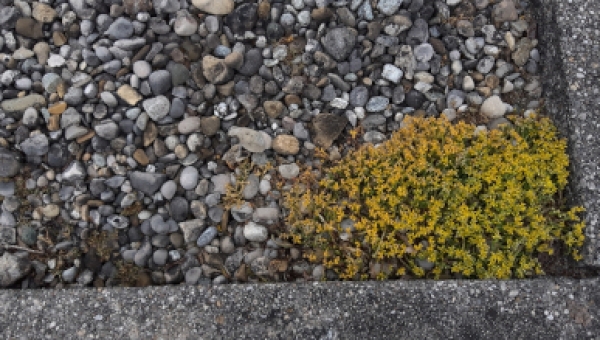 Beachtenswerte Artikel