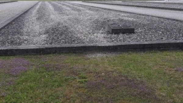 Literatur in anderen Sprachen