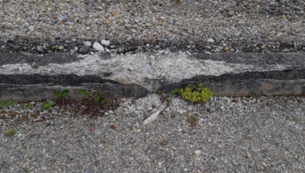 Dreifaltigkeitssonntag 1933 in München- katholischer Gesellenverein litt unter Nazis