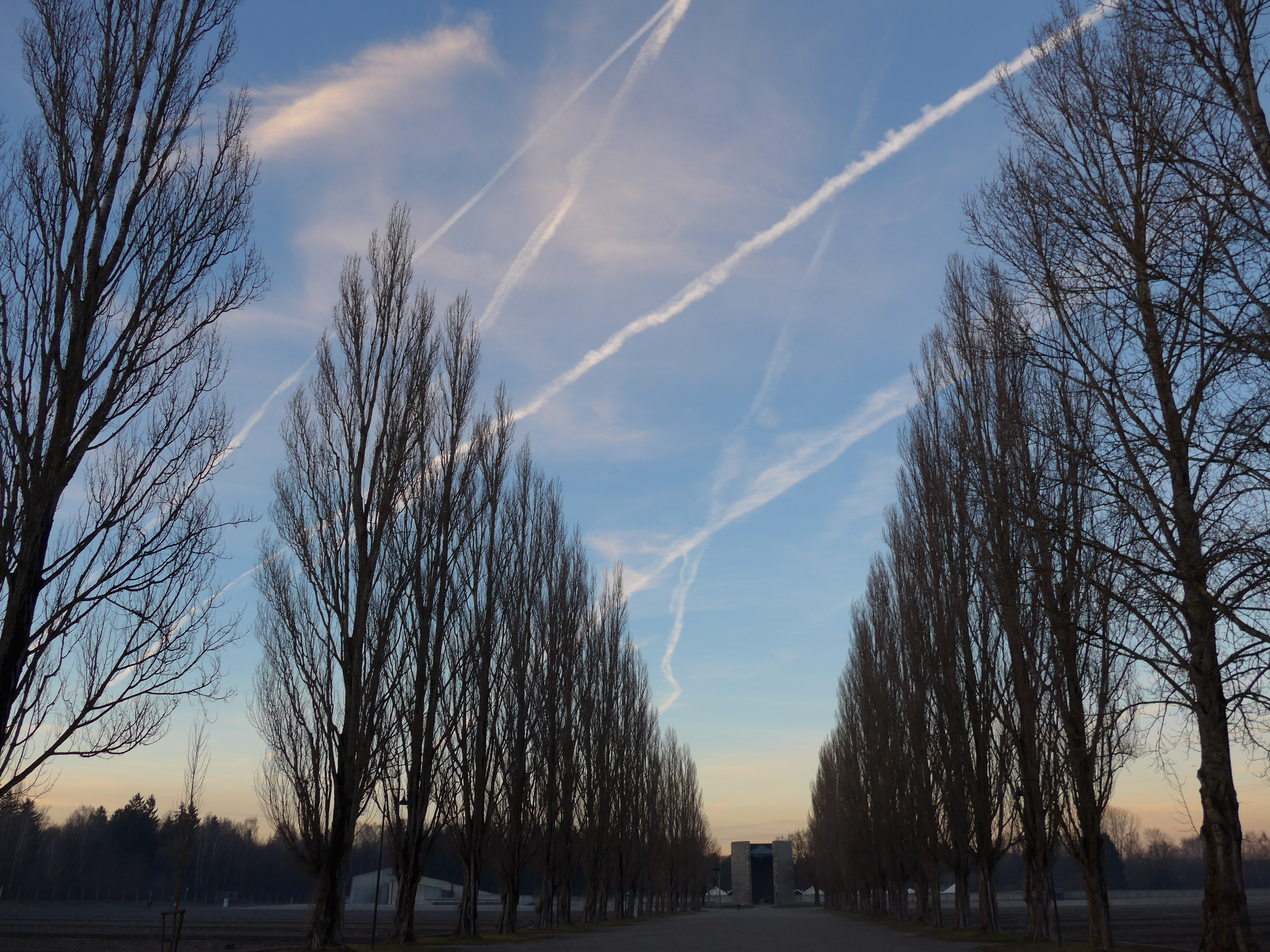 Interview mit dem Journalisten Klemens Hogen-Ostlender